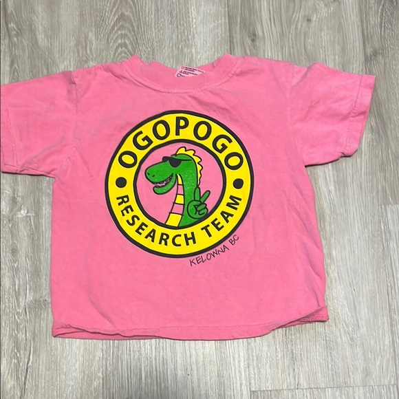 Kids Pink T-Shirt - Picture 1 of 1